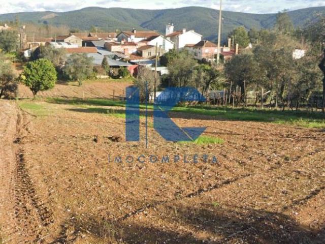 Terrenos Aveiro Águeda 3750 DLS97904737