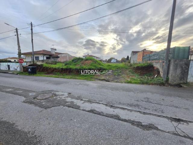 Terrenos Aveiro Albergaria 3850 DS96461726