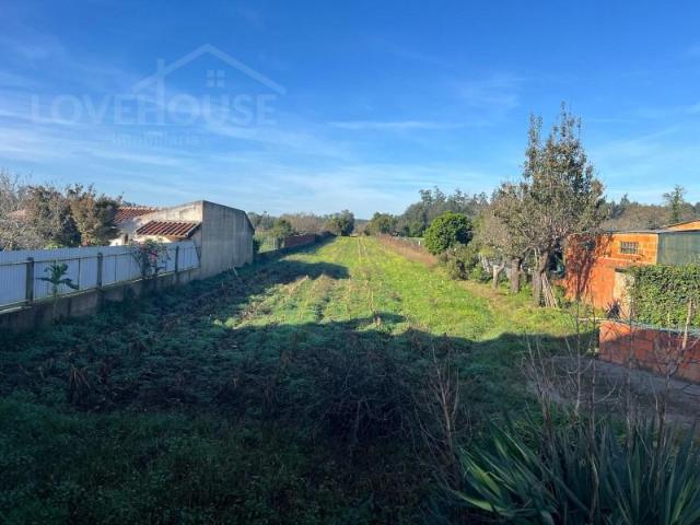 Terrenos Aveiro Aveiro DLS100455733