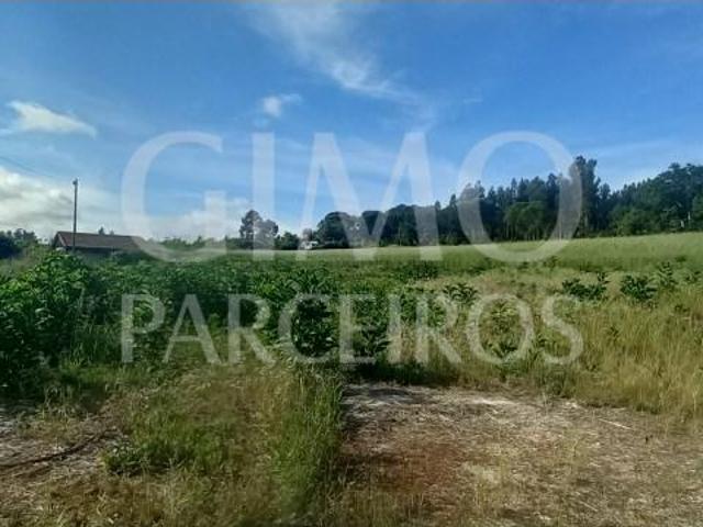 Terrenos Aveiro Aveiro DLS101942330