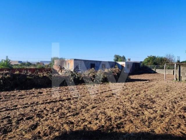 Terrenos Aveiro Aveiro DLS102175173