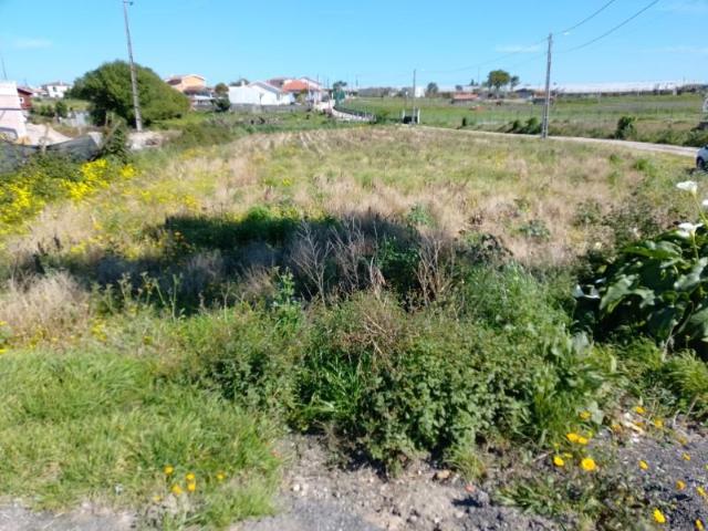 Terrenos Aveiro Aveiro DS100846094