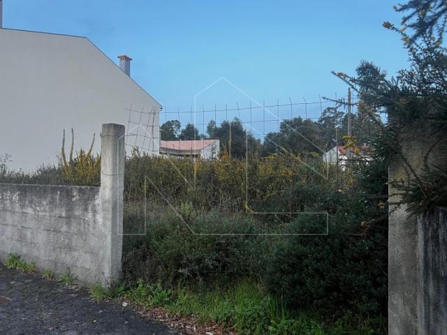 Terrenos Aveiro Aveiro DS87833900