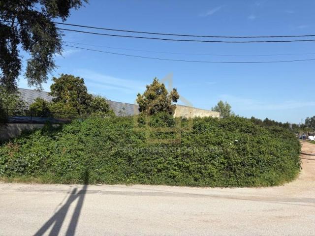 Terrenos Aveiro Aveiro DS89738568