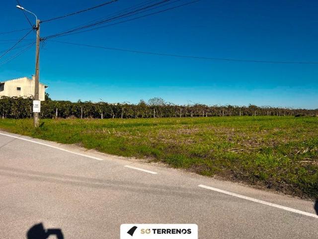 Terrenos Aveiro Aveiro DS96584713