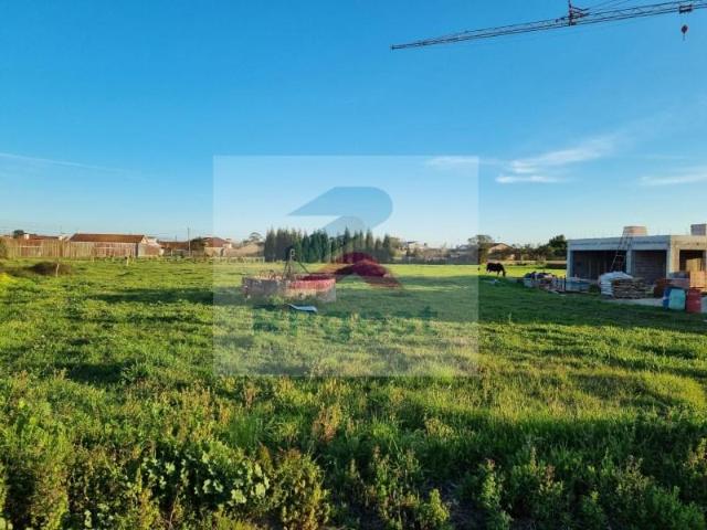 Terrenos Aveiro Aveiro DS97123471