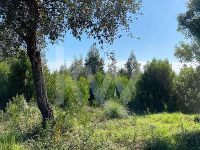 Terrenos Aveiro Aveiro DS98260936