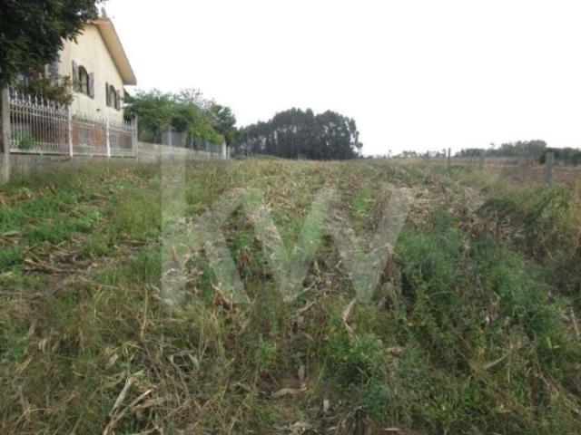 Terrenos Aveiro Aveiro DS99471774