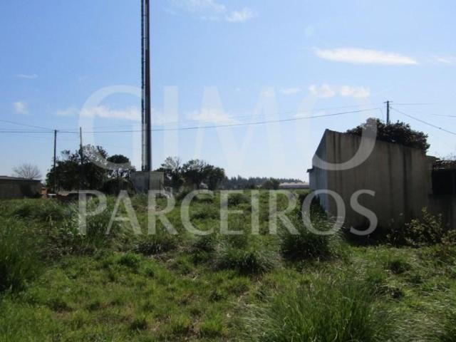 Terrenos Aveiro Aveiro DS99717483