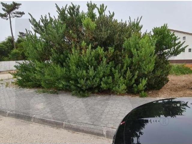 Terrenos Aveiro Aveiro DS99163234