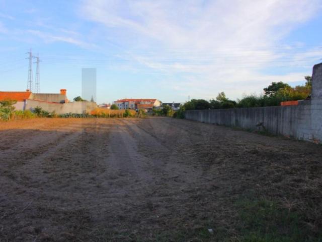 Terrenos Aveiro Aveiro DS99272287