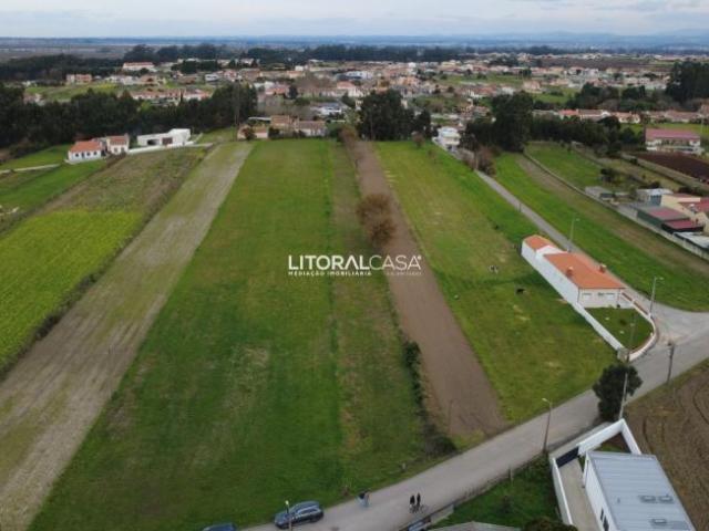Terrenos Aveiro Aveiro 3800 DS98048368