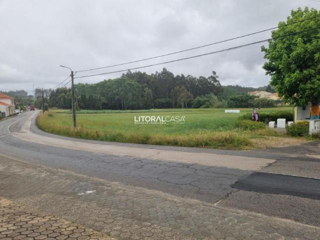 Terrenos Aveiro Aveiro 3800 DS102551450