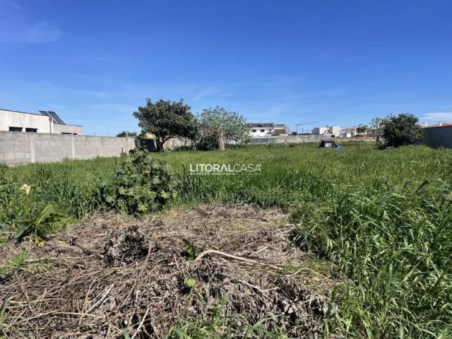 Terrenos Aveiro Aveiro 3810 DS101300654
