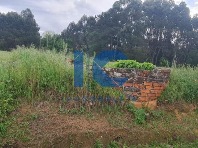 Terrenos Aveiro Oliveira do Bairro 3770 DS101724691