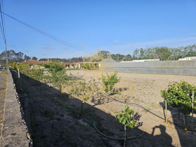 Terrenos Aveiro Ovar 3880 DLS102306413