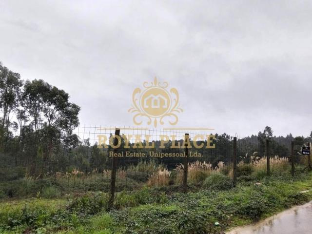 Terrenos Aveiro Santa Maria da Feira 4520 DS97081820