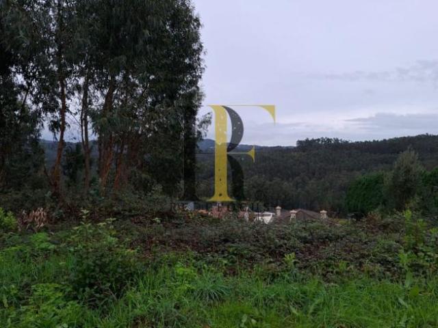 Terrenos Aveiro Santa Maria da Feira 4525 DS96428165