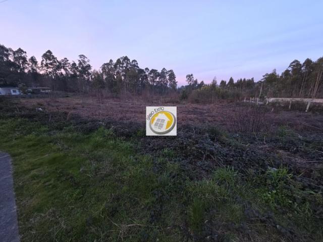 Terrenos Aveiro Santa Maria da Feira 4525 DS99460664