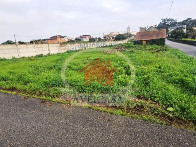 Terrenos Aveiro Vagos 3840 DLS99720244