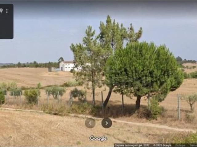 Terrenos Azambuja Azambuja DS101499068