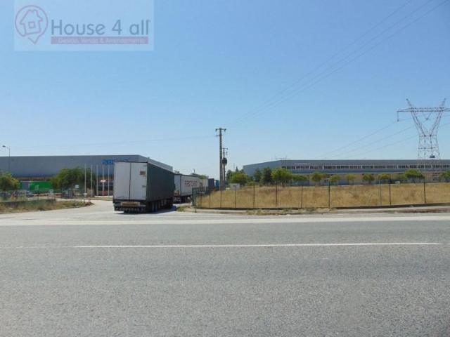 Terrenos Azambuja Azambuja DS103420775