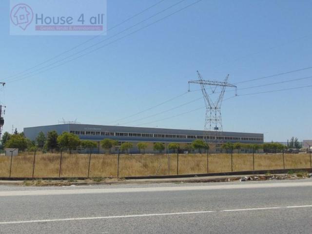 Terrenos Azambuja Azambuja ES103420775