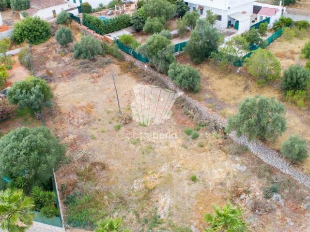Terrenos Benafim Loulé 8100 DS88034874