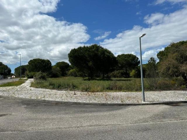 Terrenos Benavente Benavente DS92293952