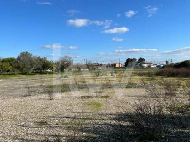 Terrenos Benavente Benavente DS96087037
