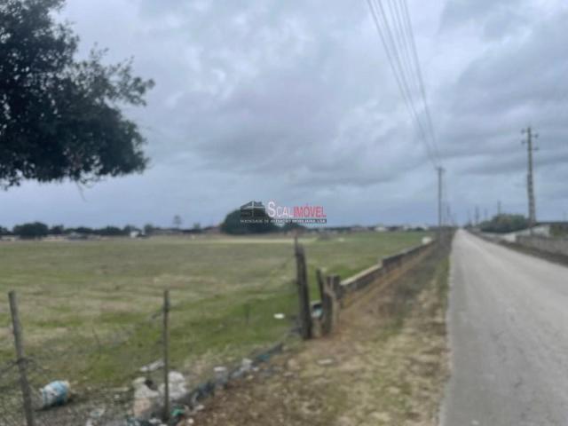Terrenos Benavente Benavente DS96300019