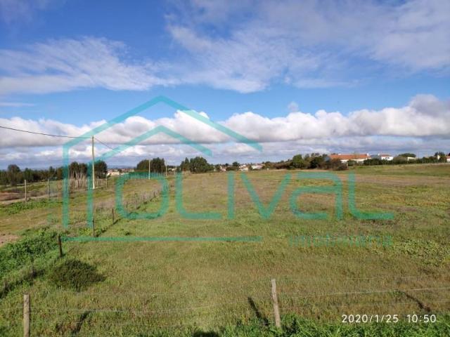 Terrenos Benavente Benavente DS97428792