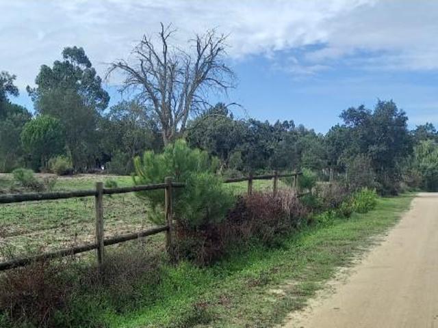 Terrenos Benavente Benavente DS97124588