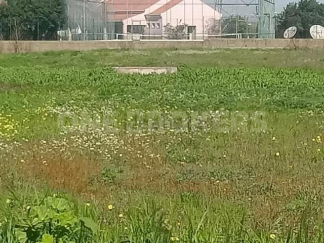 Terrenos Benavente Benavente DS98824793