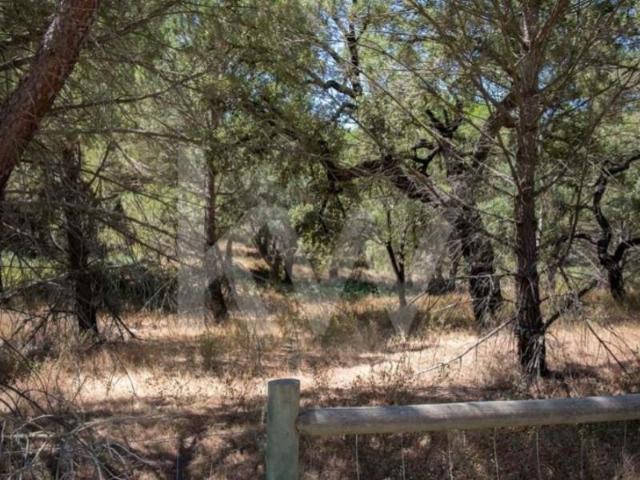 Terrenos Benavente Benavente DS98261717