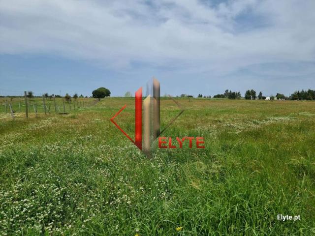 Terrenos Benavente Santarém 2130 514 DS89516241