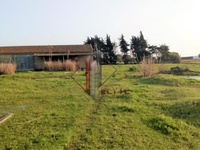 Terrenos Benavente Santarém 2130 227 DS82380812