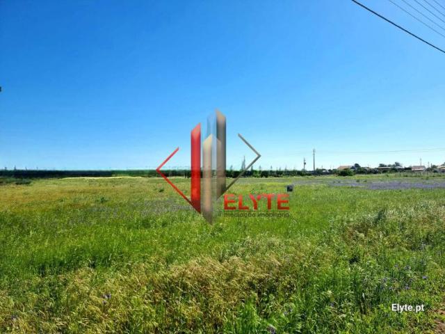 Terrenos Benavente Santarém 2130 322 DS82380767