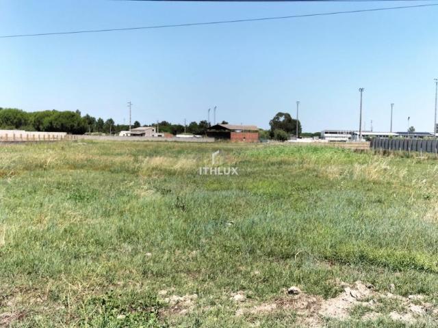 Terrenos Benavente Santarém DS86007009