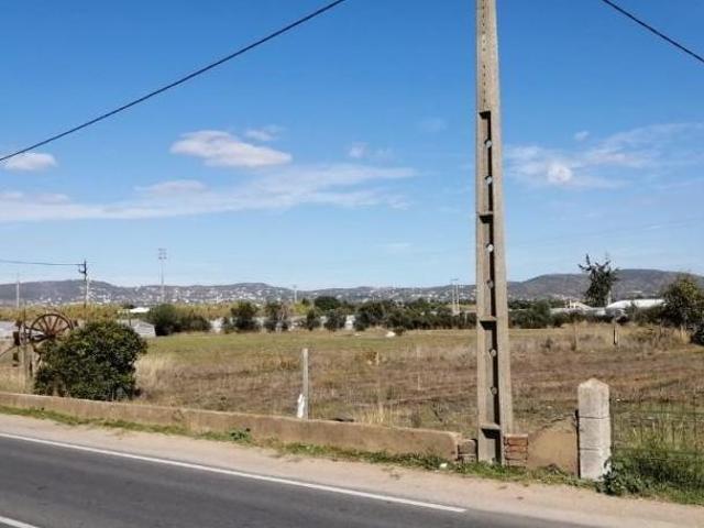Terrenos Benavente Santarém DS96292825