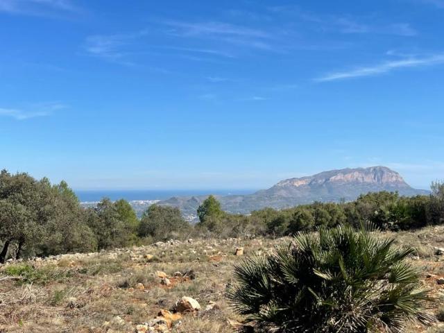 Terrenos Beniarbeig Alicante 78599305