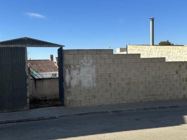 Terrenos Benijofar Alicante 94964408