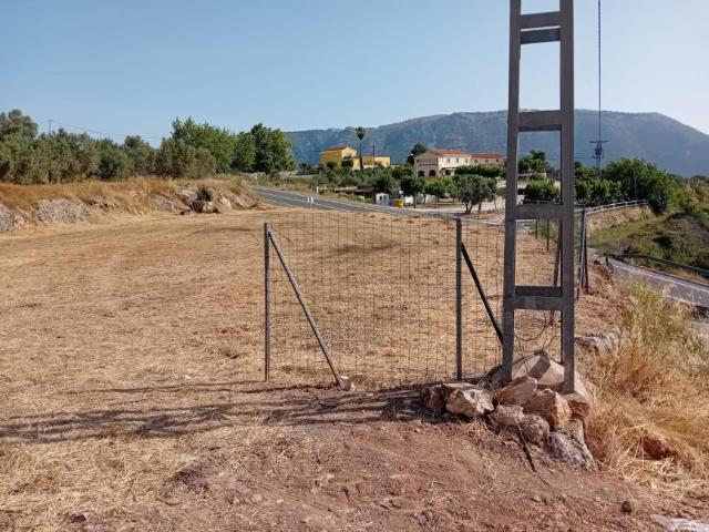 Terrenos BENIMANTELL ALICANTE 103373220