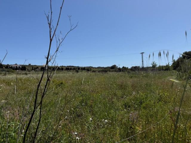 Terrenos Benissa Alicante 102144525