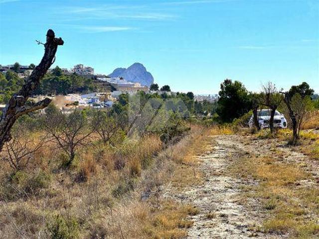 Terrenos Benissa Alicante 102341615