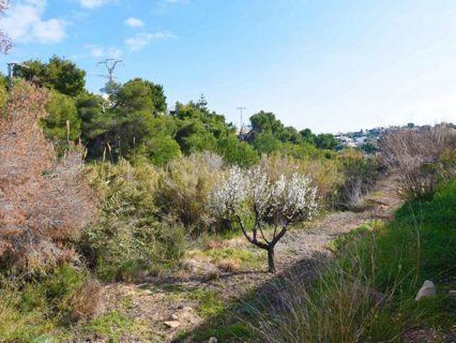Terrenos Benissa Alicante 96309692