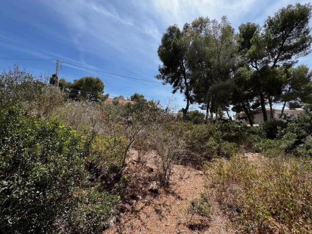 Venta Terrenos Benissa Alicante/Alacant DS79008069
