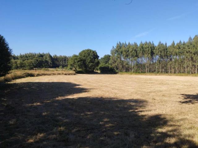 Terrenos Begonte Lugo LS93826538