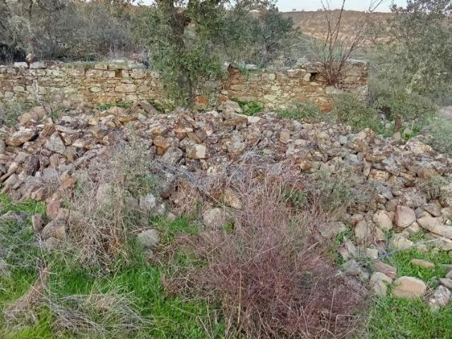 Terrenos Beja Almodôvar 7700 DS98461735
