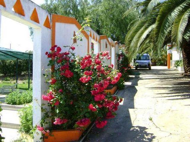 Terrenos Beja Beja DLS92708428